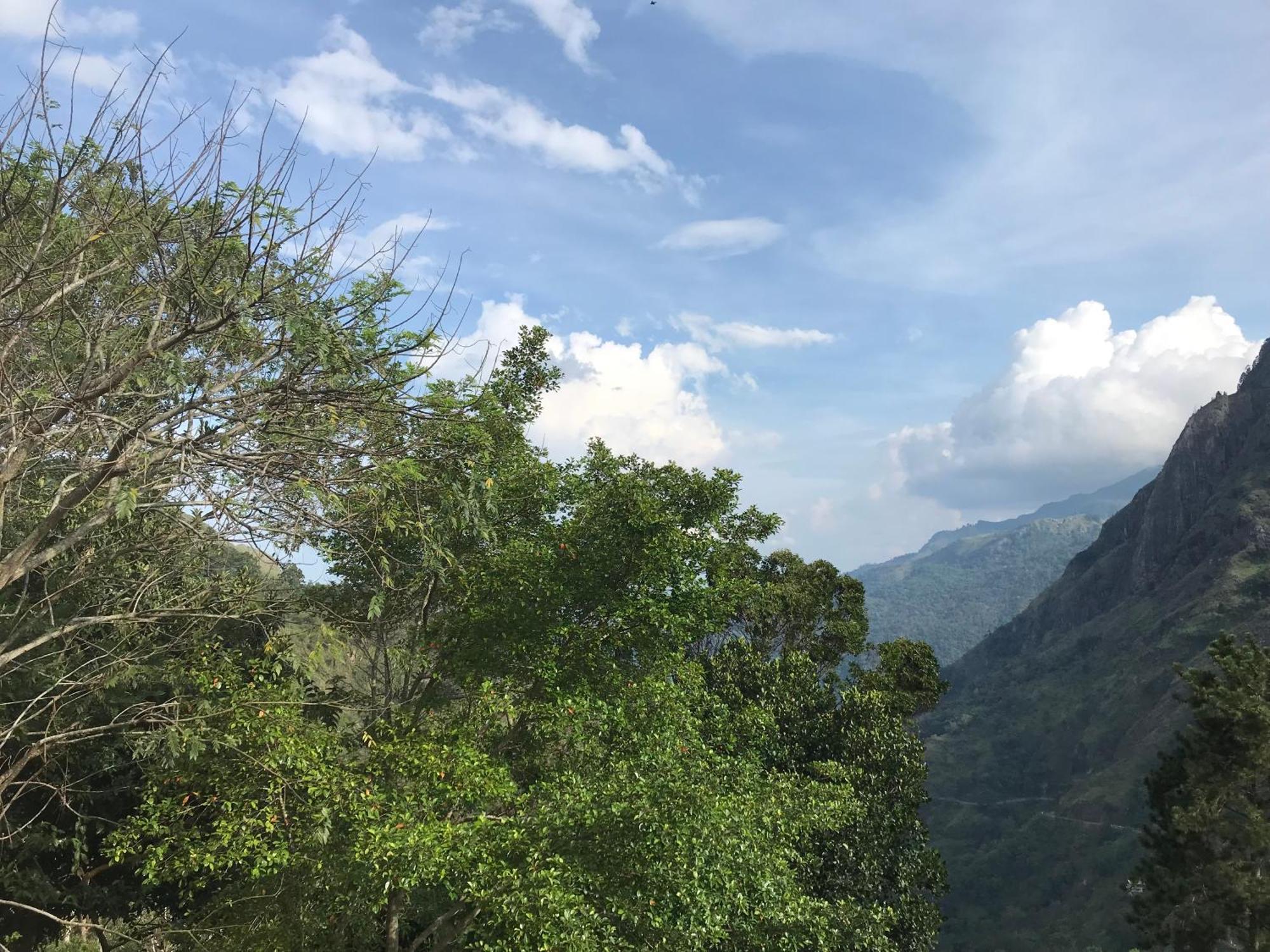 Ridge View Guest House -เอลลา ภายนอก รูปภาพ